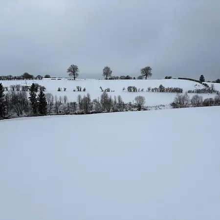 Alte Linde *
